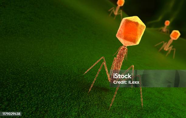 Bacteriophage Virus Particle On Bacteria Surface Stock Photo - Download Image Now - Bacteriophage, Virus, Bacterium