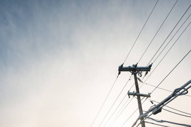 This is a photograph of a snow covered telephone pole in winter in Denver, Colorado.