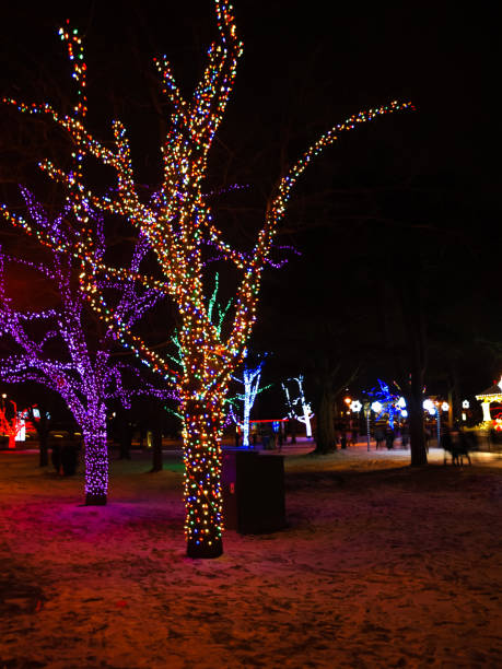istock Body of lights and strong roots 1179032335