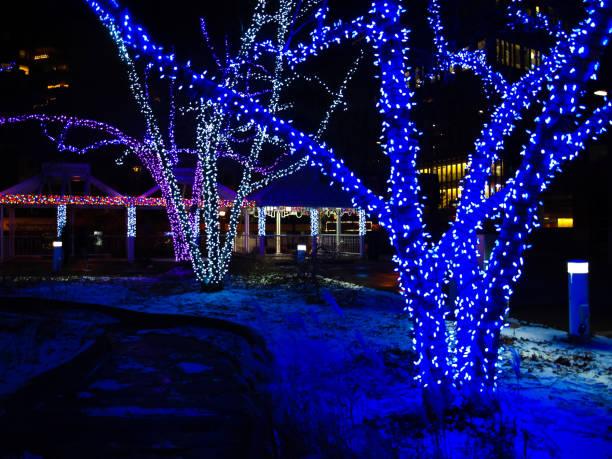 istock Trees decorated in blue lights and white snow 1179032435