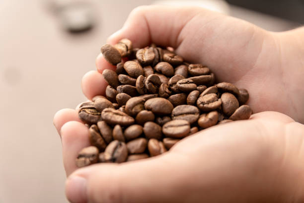 istock Child hands holding coffee making heart form on life background 1179036167