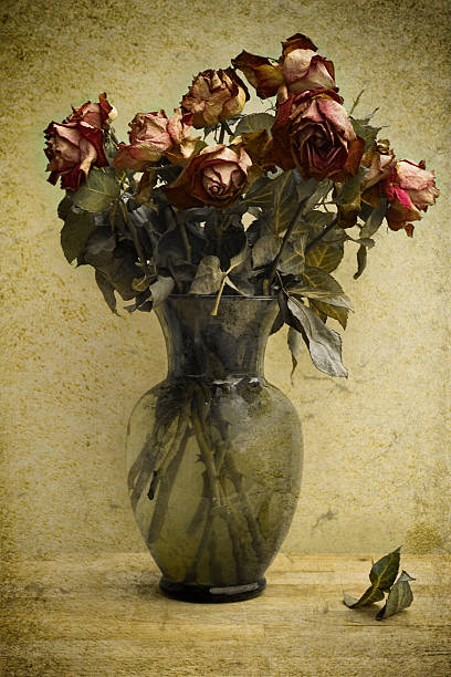 dried roses - vase texture stockfoto's en -beelden