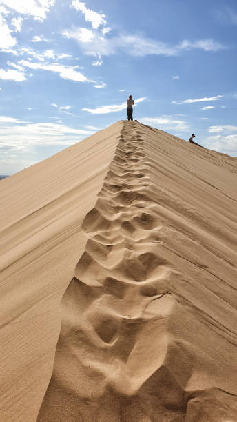 Khongor Sand Dune - Gobi Desert, Mongolia stock photo
