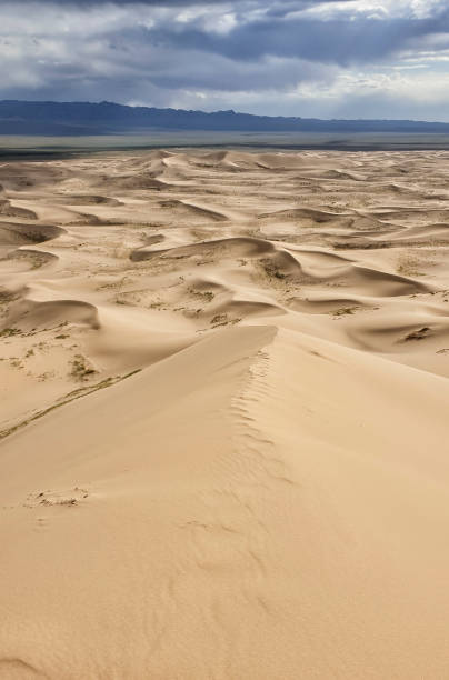 Khongor Sand Dune - Gobi Desert, Mongolia