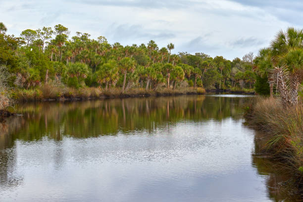 istock Scenic Waterway near Spring Hill, Florida 1179053309
