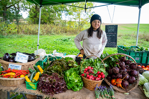 A young female farmer tending to vegetables on an organic farm stand outside on a autumn day.  The farm stand is on a sustainable, organic vegetable farm operating as community shared agriculture.
