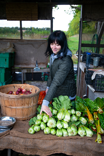 A young female farmer tending to vegetables on an organic farm stand outside on a autumn day.  The farm stand is on a sustainable, organic vegetable farm operating as community shared agriculture.