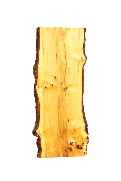 istock Cut of a perennial tree 1179059136