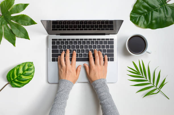 istock Person using a laptop computer with plant leaves 1179066099
