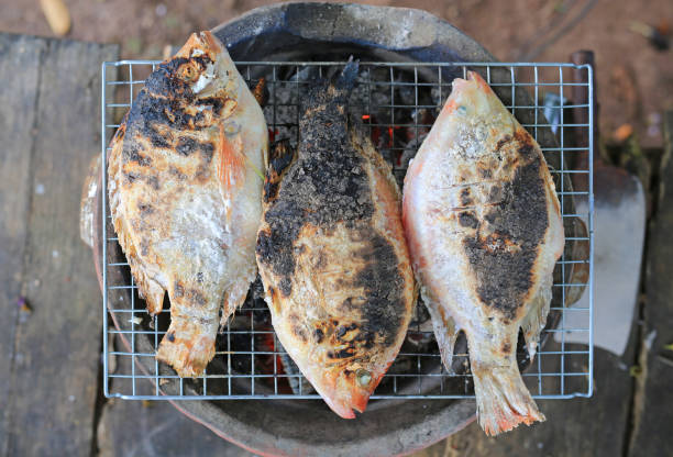 istock Red Tilapia fish grilled with Salt on the grill. 1179071830