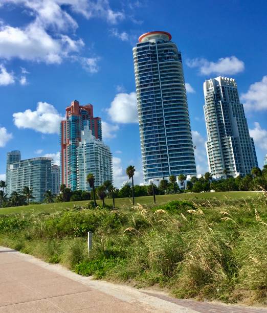 istock Miami skyscrapers views in the sunset 1179072402