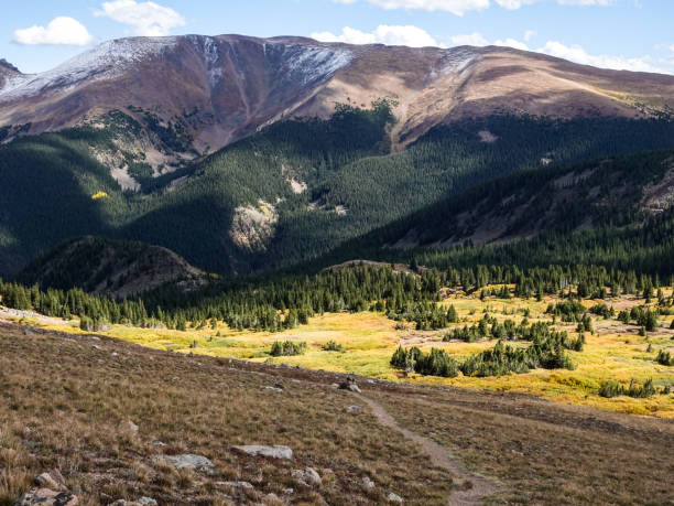 istock Rocky Mountains and autumn willows 1179090753