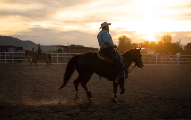 istock Cowboy warming up before event at a rodeo arena 1179096504