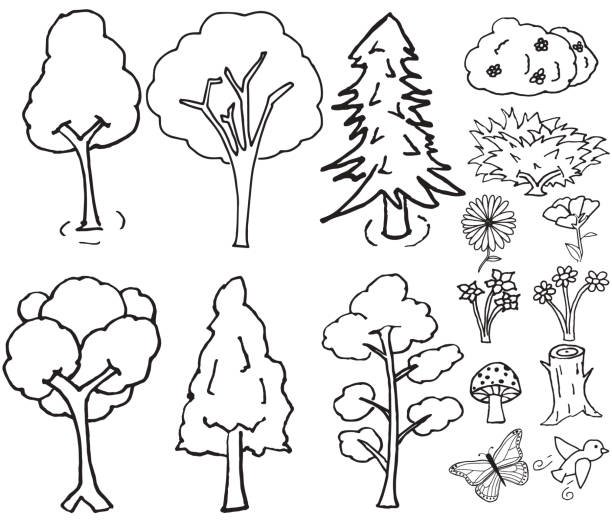ręcznie rysowane elementy wektorowe natury - mushroom forest tree area fungus stock illustrations