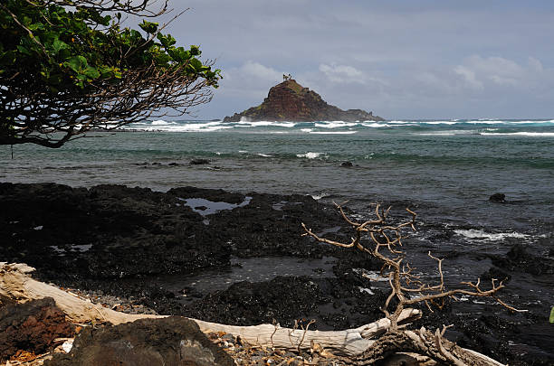 istock Shoreline View of Tropical Island 117909747