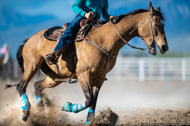 istock Cowgirl barrel racing rodeo 1179098599