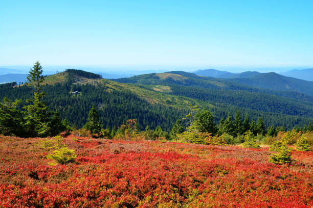 istock Autumn landscape in National park Bayerischer Wald, Germany. 1179101199