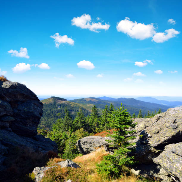 istock Landscape in the National park Bayerischer, Germany. 1179101235