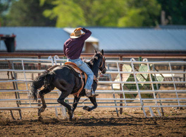istock Cowboy Horseback Riding 1179102902