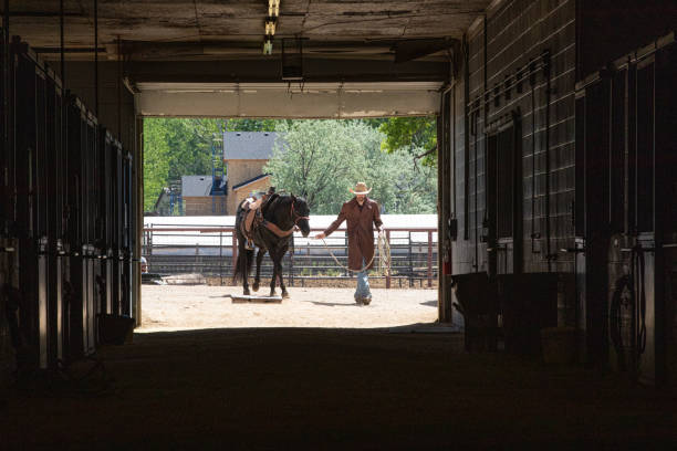 istock Cowboy at a horse stable 1179103749