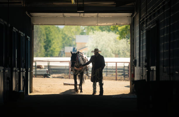 istock Cowboy at a horse stable 1179103799
