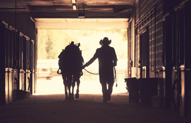 istock Cowboy at a horse stable 1179103811