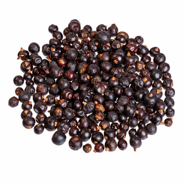 istock A pile of juniper berries close-up, isolated on white. 1179104673