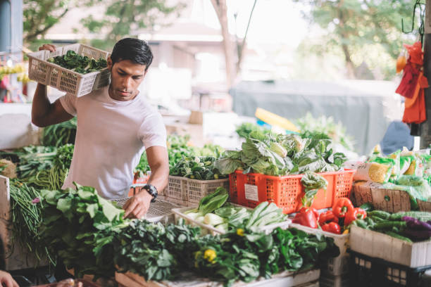 an asian malay vegetable owner arranging vegetables at his stall getting ready for the day