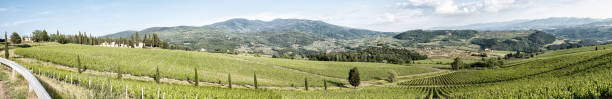 istock Panoramic view of hills in Tuscany, Italy 1179106367