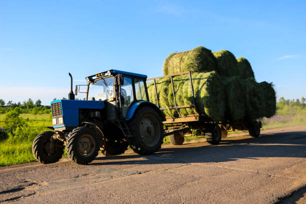 istock tractor driven fresh hay rolled, after seasonal harvesting 1179107233