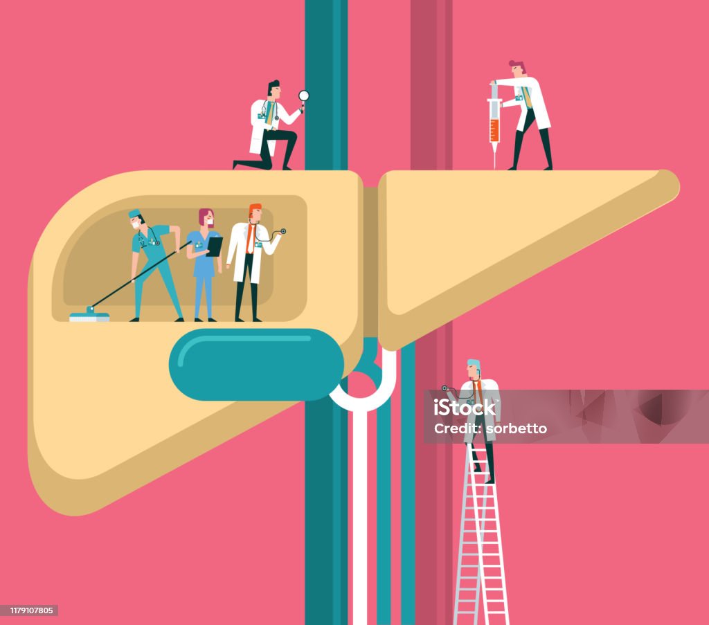 liver Team of doctors diagnose human liver Liver - Organ stock vector liver Team of doctors diagnose human liver Liver - Organ stock vector