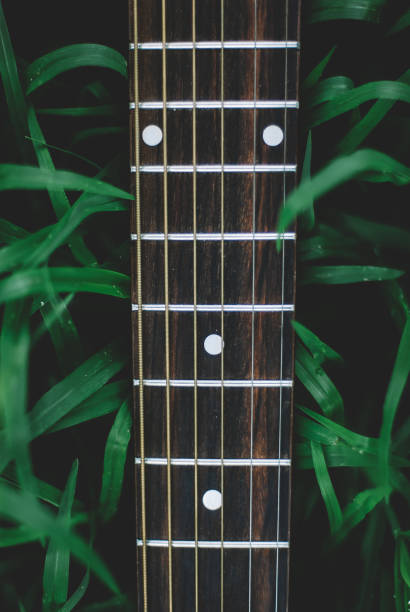 istock Mahogany Wood Guitar 1179108713
