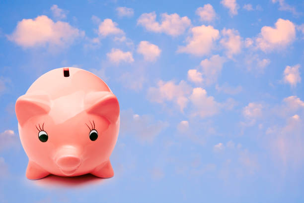 istock Piggy Bank Blue Sky 1179110002