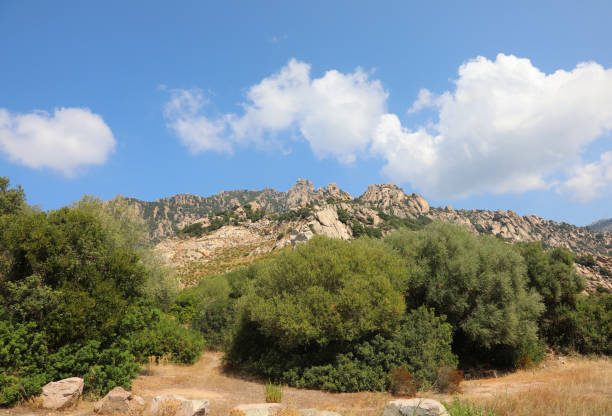 istock typical view of Mediterranea Island 1179113787