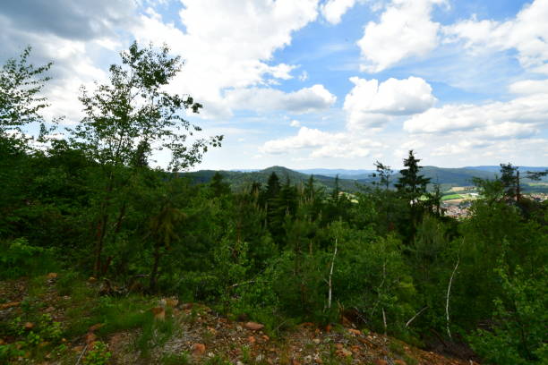 istock landscape of the bavarian forest in germany 1179114002