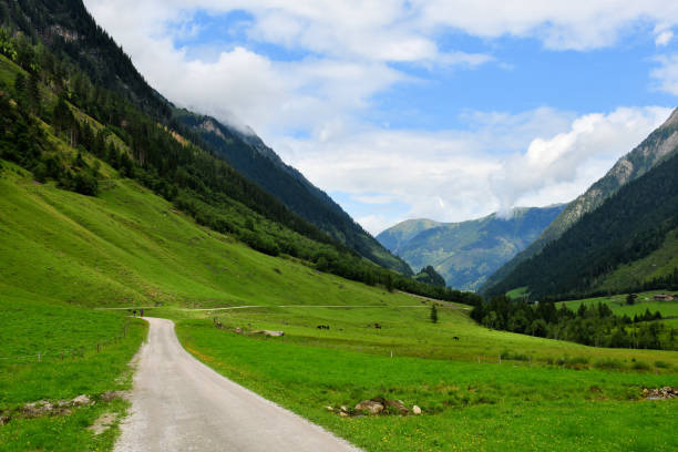 istock landscape of the mountains in austria 1179114067