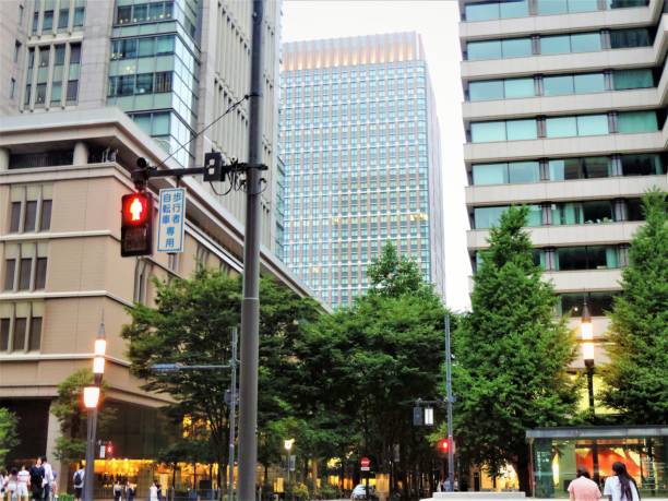 istock Summer. Tokyo. Cityscape 1179114164