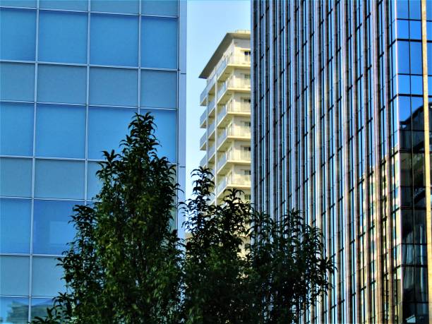 istock Tokyo. The city reflected in its skyscrapers. 1179114227