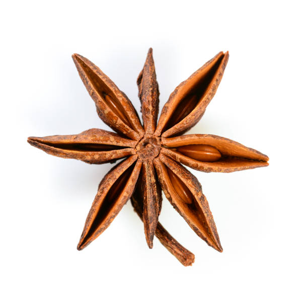 istock Star anise. Single star anise fruit. Macro close up Isolated on white square background with shadow, top view of chinese badiane spice or Illicium verum. 1179116377