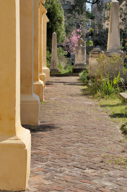 istock Church Graveyard, Charleston, South Carolina 117911669