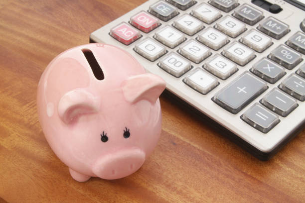 istock Piggy bank with calculator 1179118366