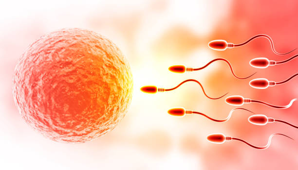 istock Sperm with egg on abstract medical background 1179119389