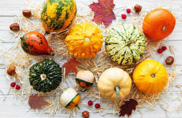 istock Pumpkins on a wooden table 1179129781