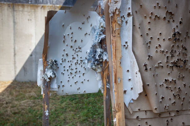 istock Shooting target full of bullet holes 1179129808