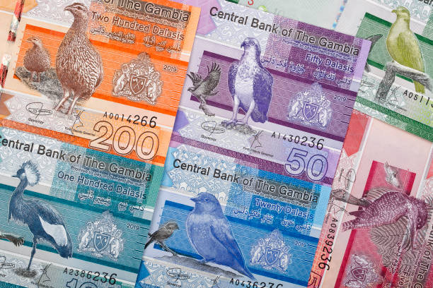 istock Gambian Dalasi a background 1179132405