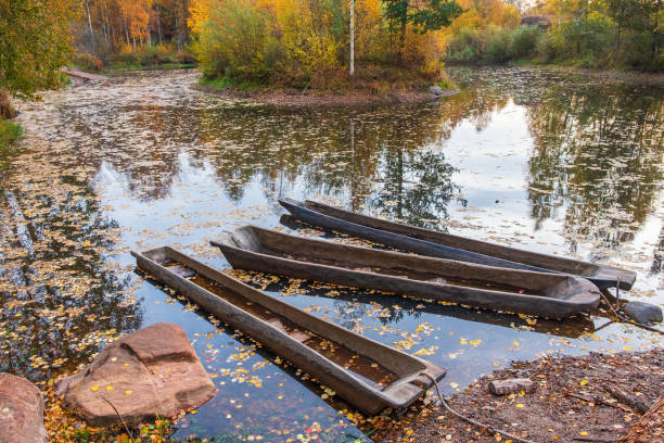 canots de pirogue à un lac de forêt avec des couleurs d'automne - logboat photos et images de collection