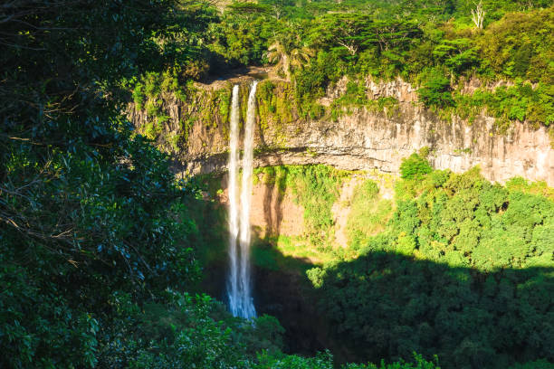 istock Chamarel waterfall with rock in the tropical jungle of Mauritius 1179138843