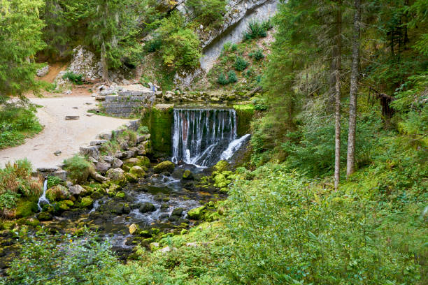 wasserfall bei source du doubs mouthe franche county france mit grünen pflanzen an einem sonnigen tag - doubs river stock-fotos und bilder