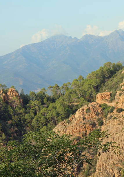 istock Panoramic view of Corsica Island 1179142487