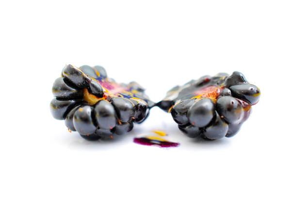 organic blackberry fruit, image of a